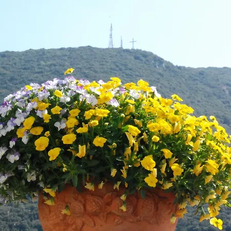 Ξενοδοχείο Palazzo Leti Residenza D'epoca 4*